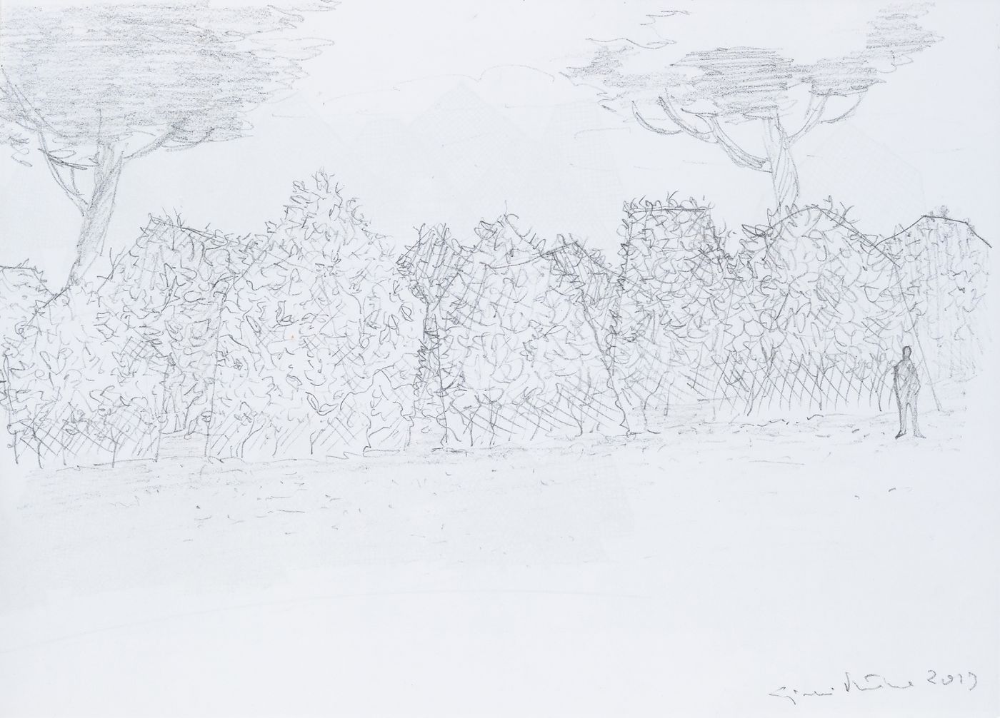 Sketch for Montagne Naturali