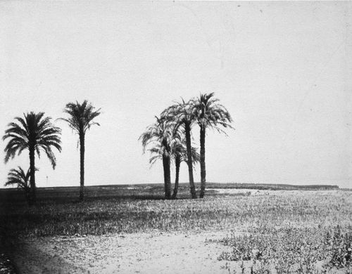 Plate from album ''Photographic Views Taken in Egypt and Greece''