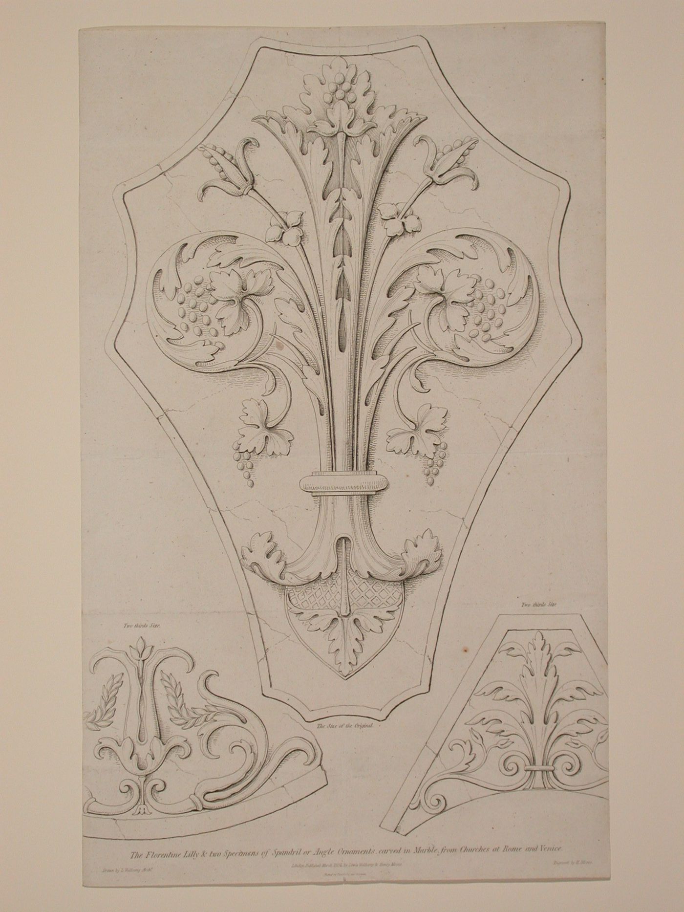 Ornament designs