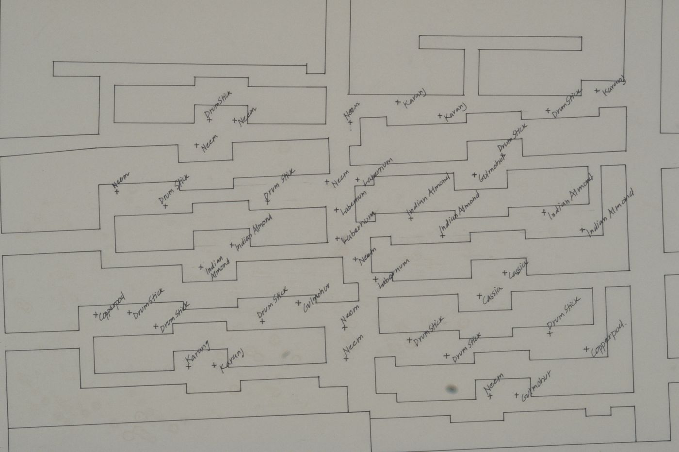 Site plan showing planting for the Aranya Housing Project, Indore, India