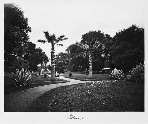 View of the grounds, Thurlow Lodge, Menlo Park, California