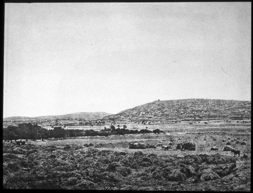 View of an archeological site near the Dead Sea, Israel