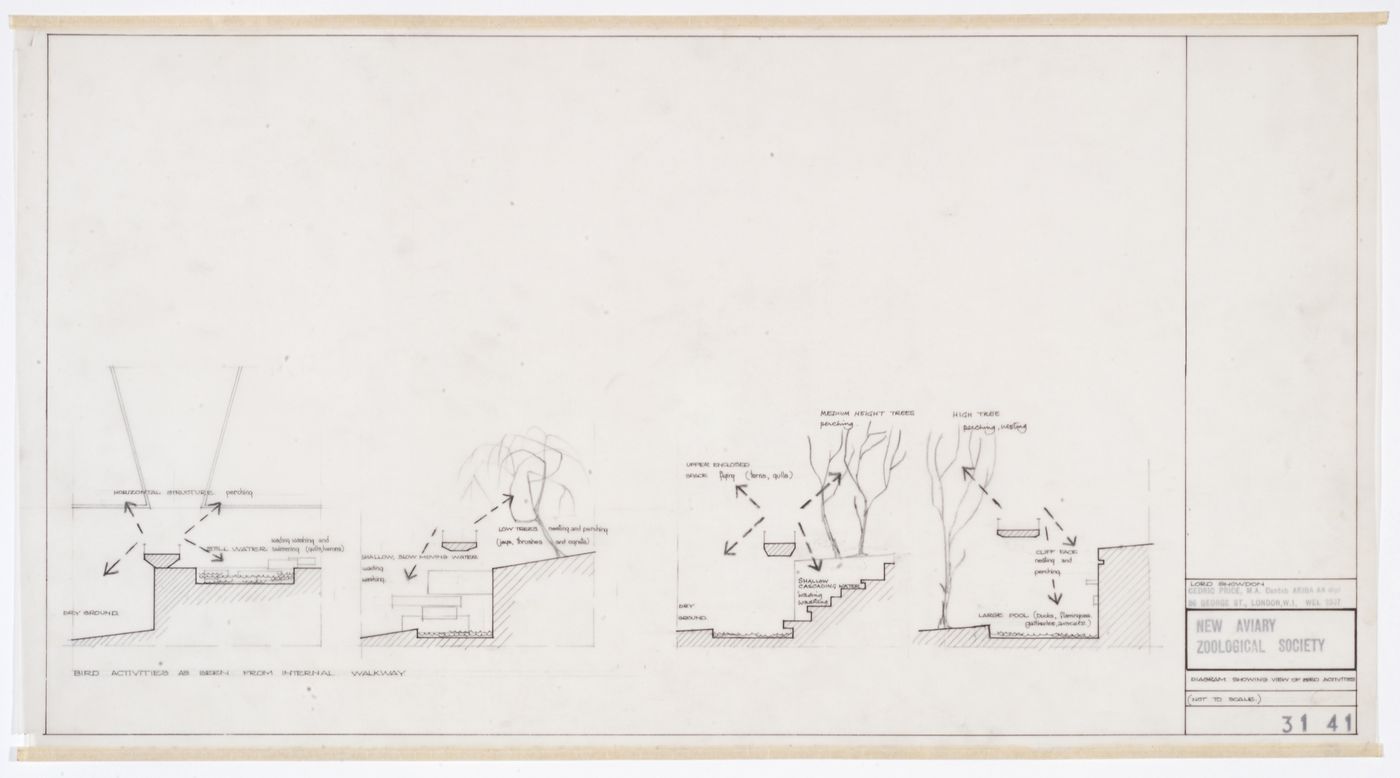 London Zoo Aviary, Regent's Park, London, England: diagram showing view of bird activities