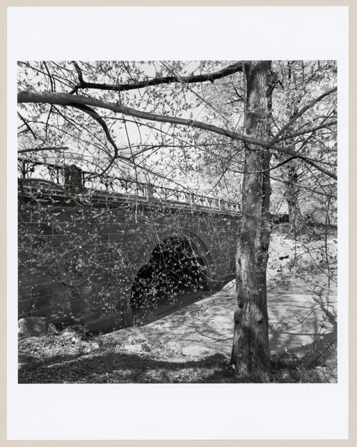 Central Park, New York, New York