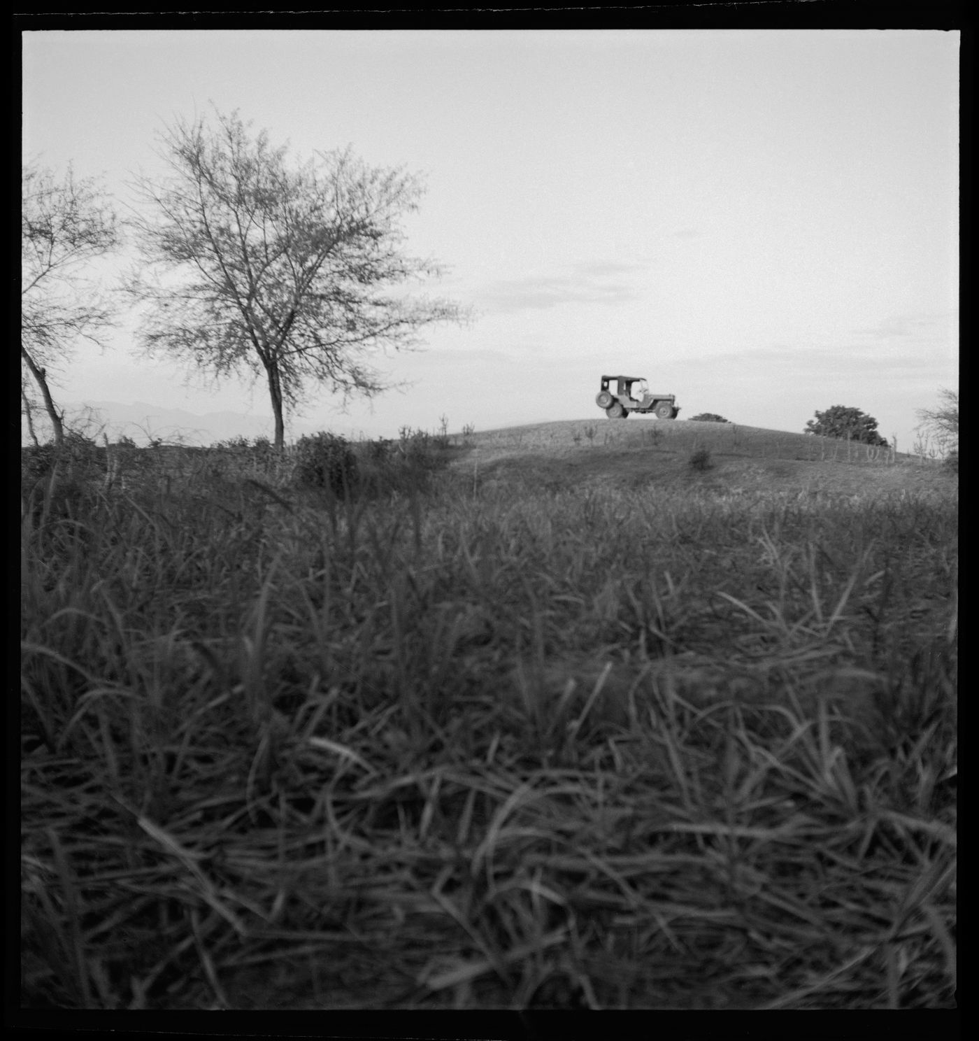 Field with tree and jeep in background, in Chandigarh, India