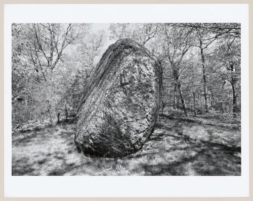 Boulder, playsted, Franklin Park, Boston, Massachusetts, United States
