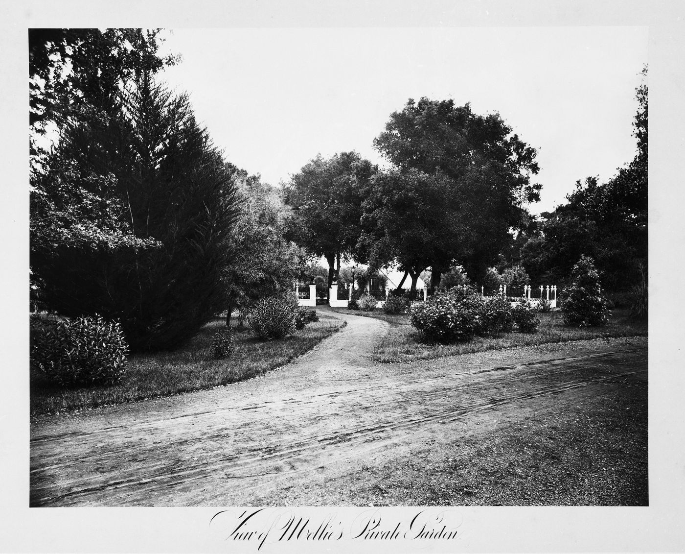 View of the grounds, Thurlow Lodge, Menlo Park, California
