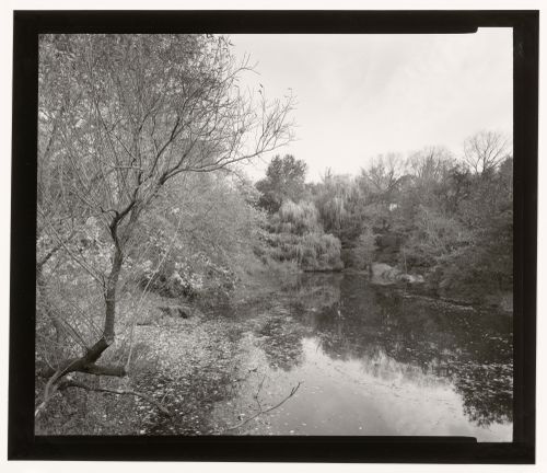North end of the Lake, Central Park, Manhattan, New York City, New York