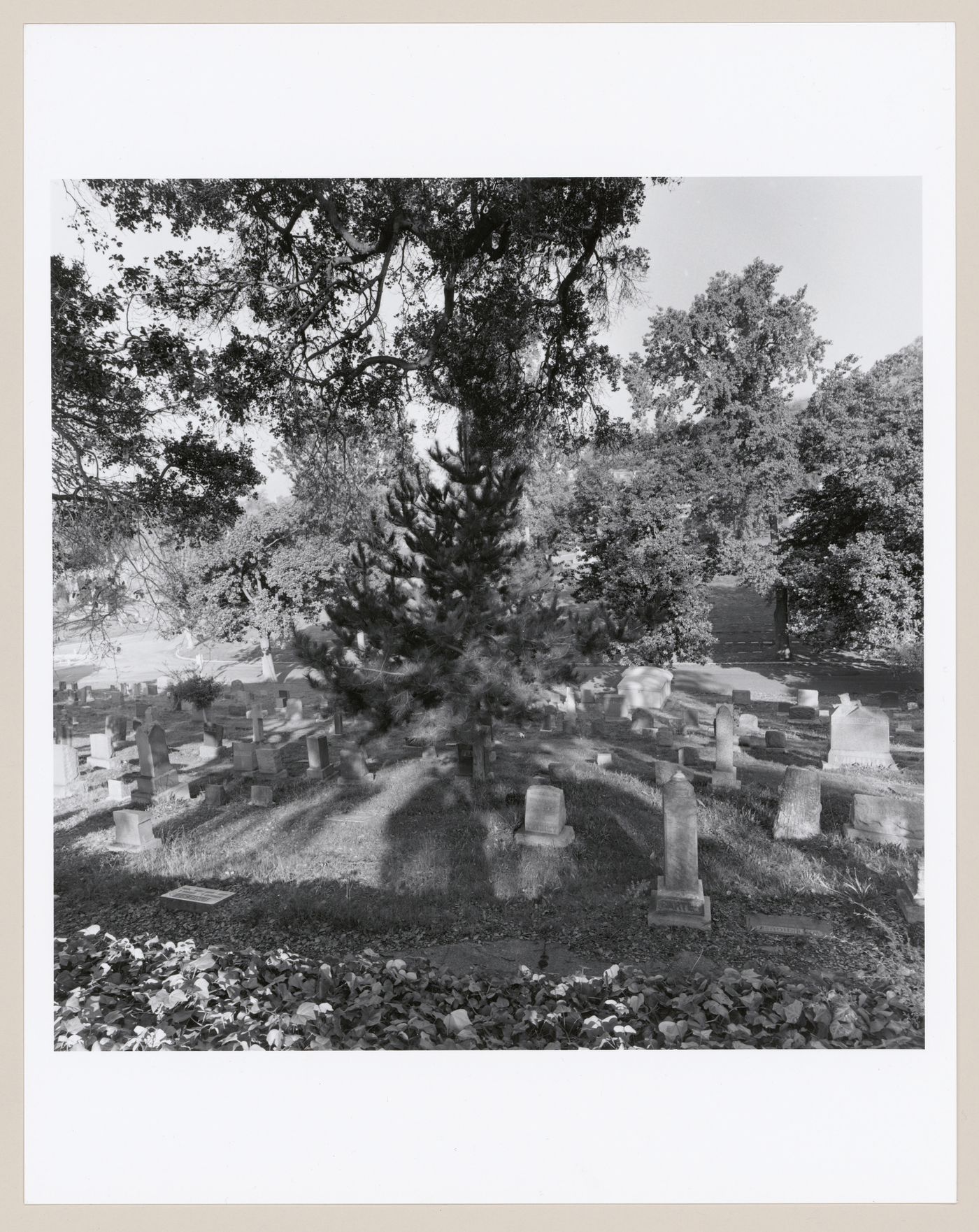 Mountain View Cemetery, Oakland, California
