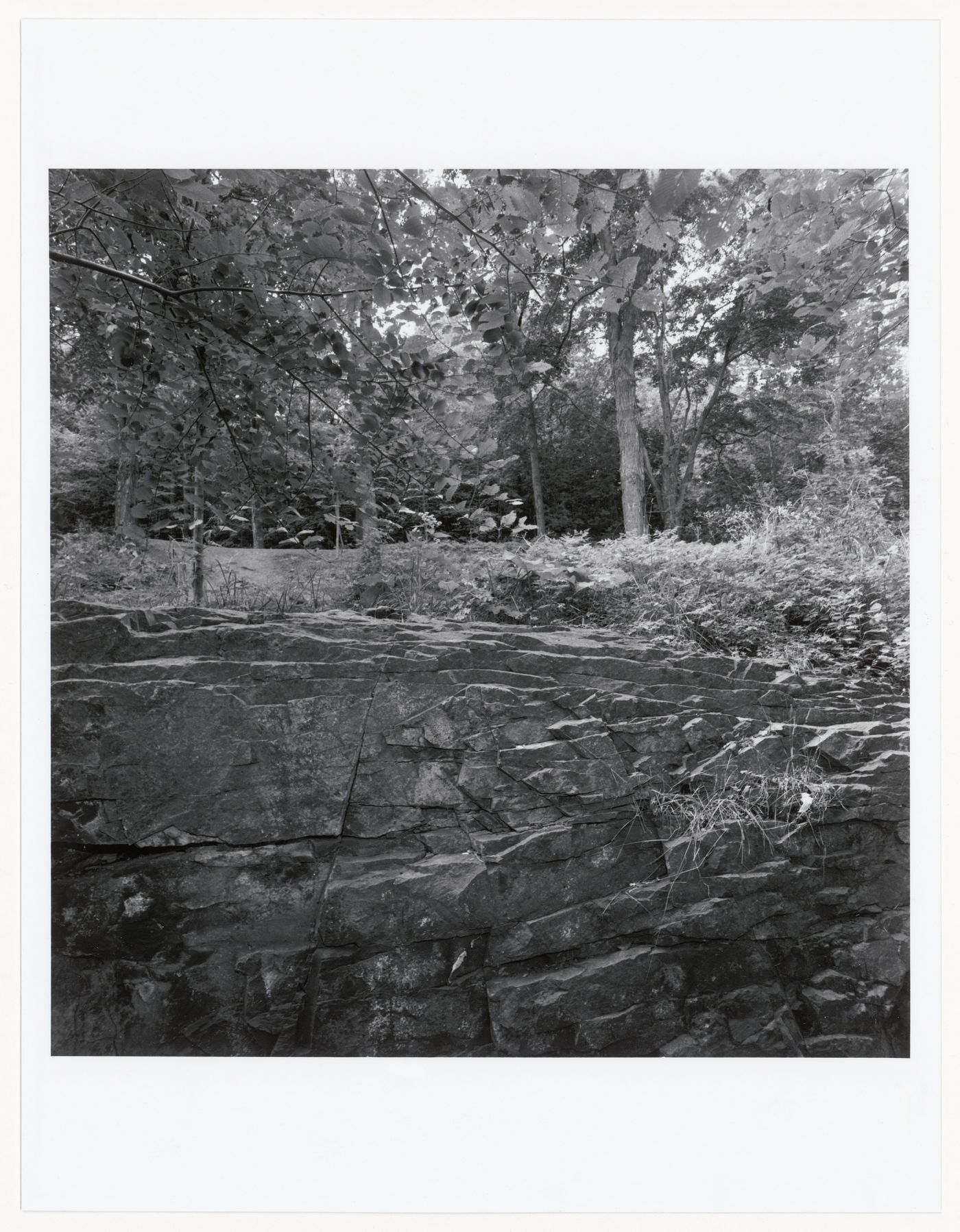 Mount Royal, Montréal, Québec