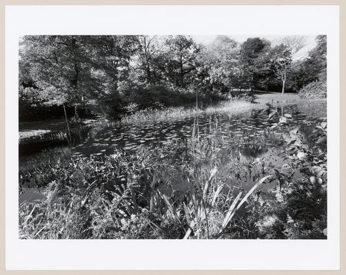 The Arnold Arboretum, Boston, Massachusetts