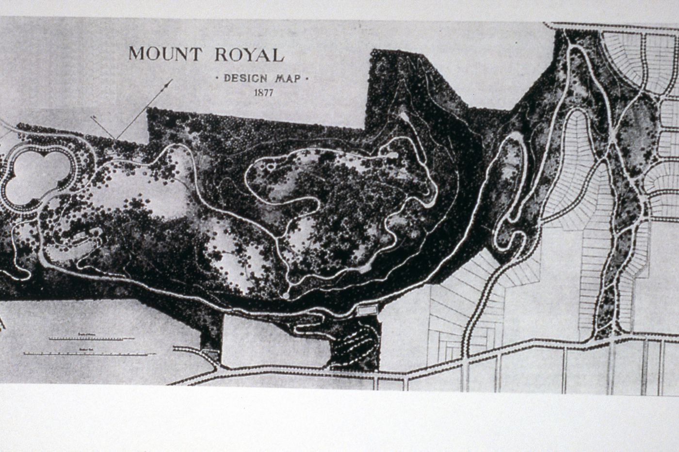 Photograph of plan of Mount Royal Park for research for Olmsted: L'origine del parco urbano e del parco naturale contemporaneo