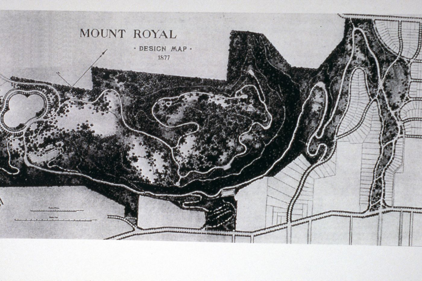 Slide of plan of Mount Royal Park in Montréal, Canada for Olmsted: L'origine del parco urbano e del parco naturale contemporaneo