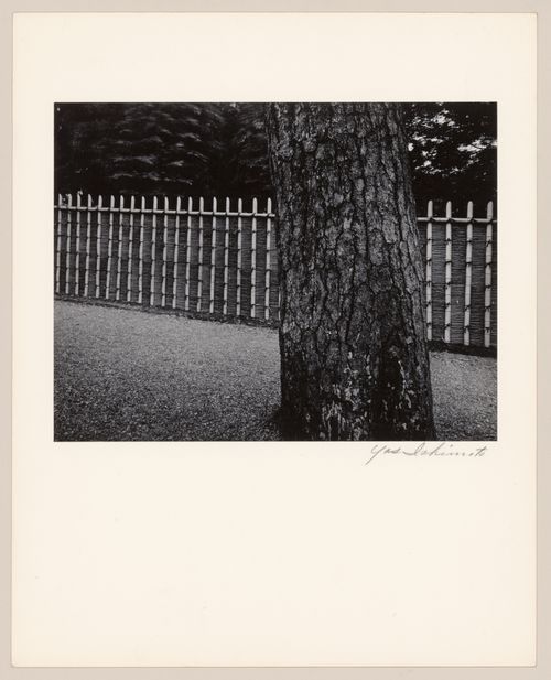 View of the bamboo-branch fence showing a tree and a walkway in the foreground, Katsura Rikyu (also known as Katsura Imperial Villa), Kyoto, Japan