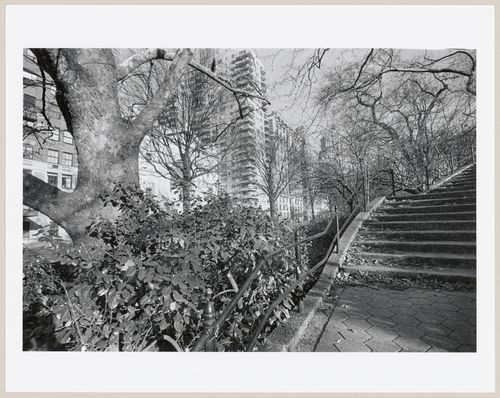 Central Park, Manhattan, New York City, New York