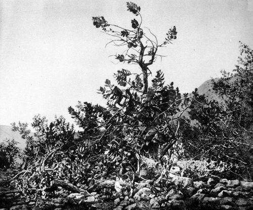 View of an archeological site near the Dead Sea, Israel