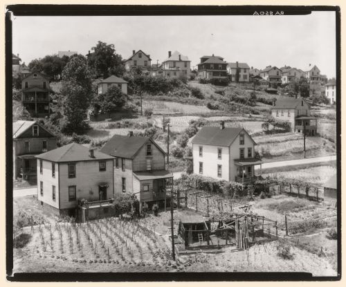 Wood-frame residential houses on hills, Morgantown, West Virginia