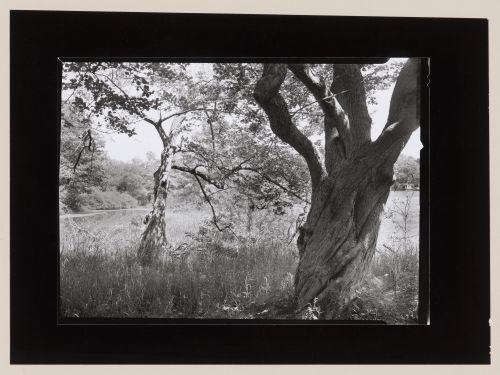 Scarboro Pond, Franklin Park, Boston, Massachusetts