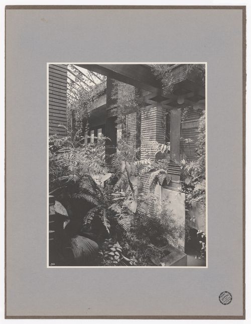 Interior view of Darwin D. Martin House showing the glazed roof of the conservatory and a plant, Buffalo, New York