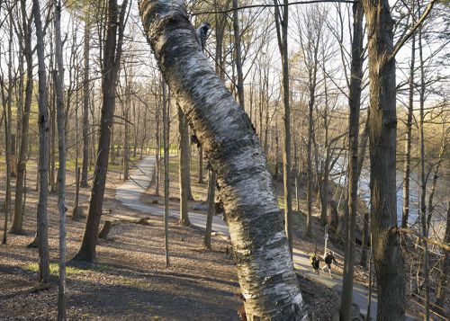 An Enduring Wilderness: Humber River Trail, Lambton Woods, Toronto