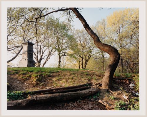 Viewing Olmsted: View of The edge of the Ravine and the Long Meadow, The Lullwater Bridge, Prospect Park, Brooklyn, New York