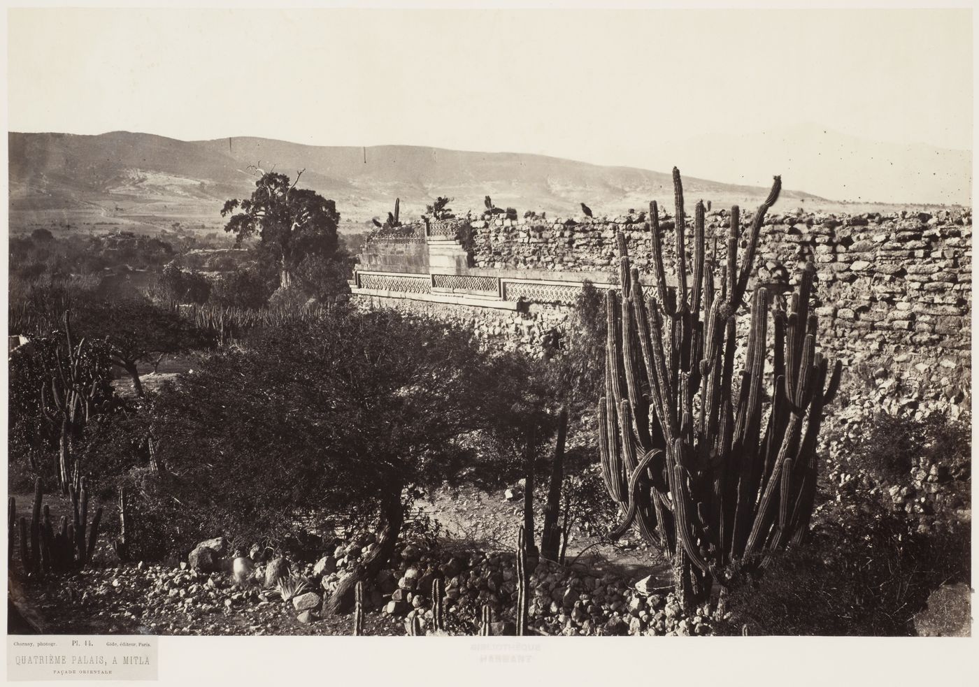 View of the eastern façade of the Fourth Palace (also known as the East Building in Quadrangle F) with plants in the foreground and hills in the background, Mitla, Mexico
