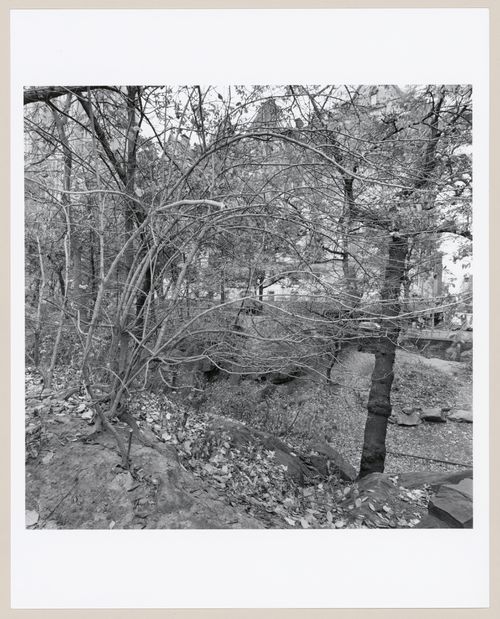 Central Park, New York, New York