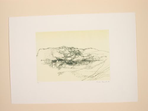 Landscape - Buildings at base of green hill