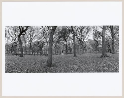 Central Park, New York, New York