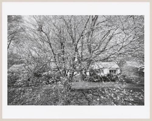 Cherokee Park, Louisville, Kentucky