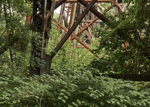 An Enduring Wilderness: CP railway bridge, E.T. Seton Park, Toronto