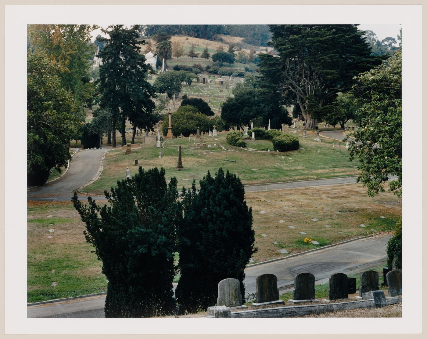 Viewing Olmsted: Overview, overcast day, Mountain View Cemetery, Oakland, California