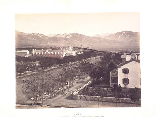Houses on tree-lined street with mountains in distance, Salt Lake City, Utah