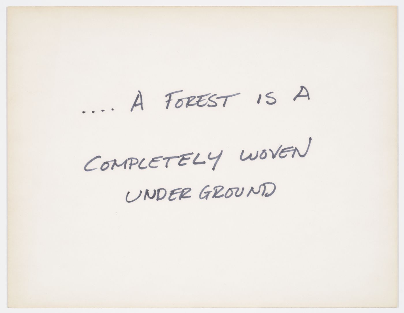 ...A forest is a  completely woven underground