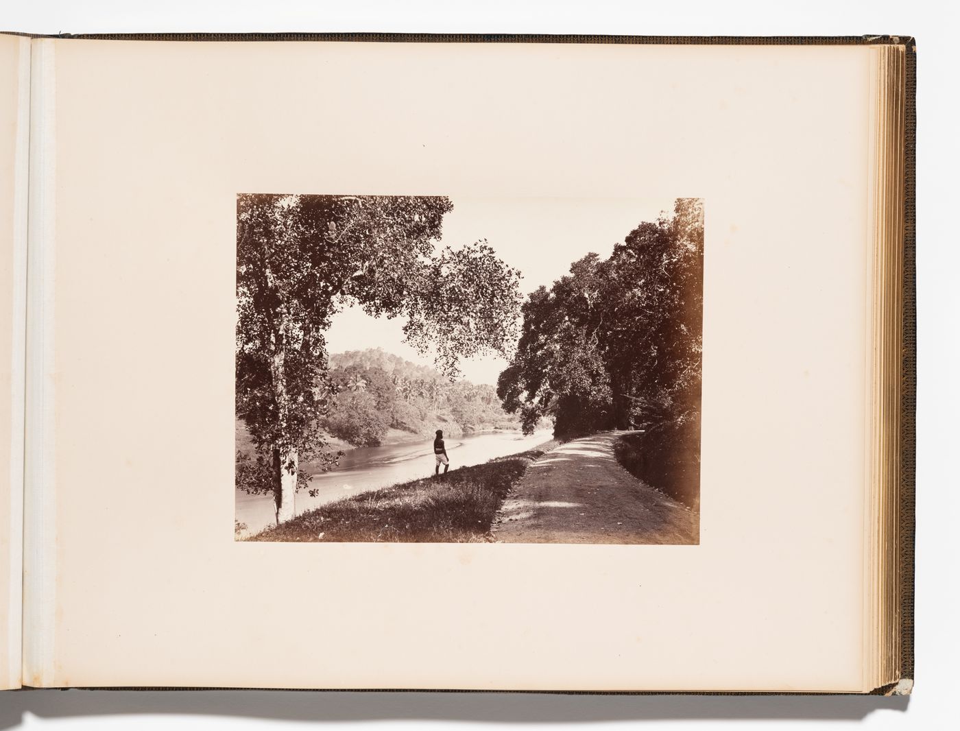 View of a river, possibly the Mahaweli River, and a road, Royal Botanical Gardens, Peradeniya, Ceylon (now Sri Lanka)