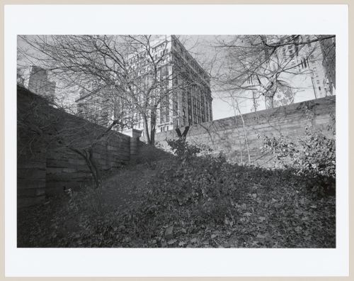 Central Park, Manhattan, New York City, New York