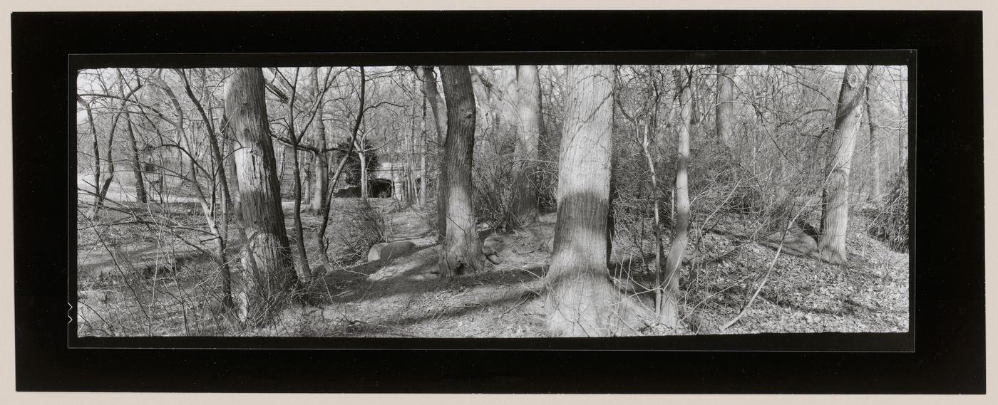 Panorama, Nethermead Arches, Prospect Park, Brooklyn, New York City, New York
