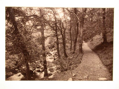 Dolgelley, view of Torrentwalk.