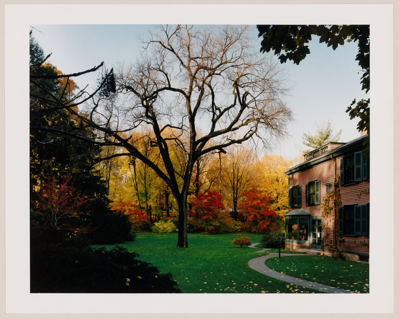 Viewing Olmsted: View of "Fairsted", view of elm tree and house, Brookline, Massachusetts