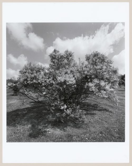 Highland Park, Rochester, New York