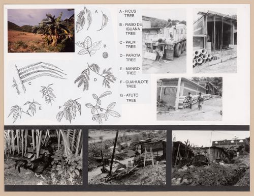 Presentation panel with photographs of plant life and draining systems for the Urban Upgrading project La Esperanza, in Zihuatanejo, Mexico