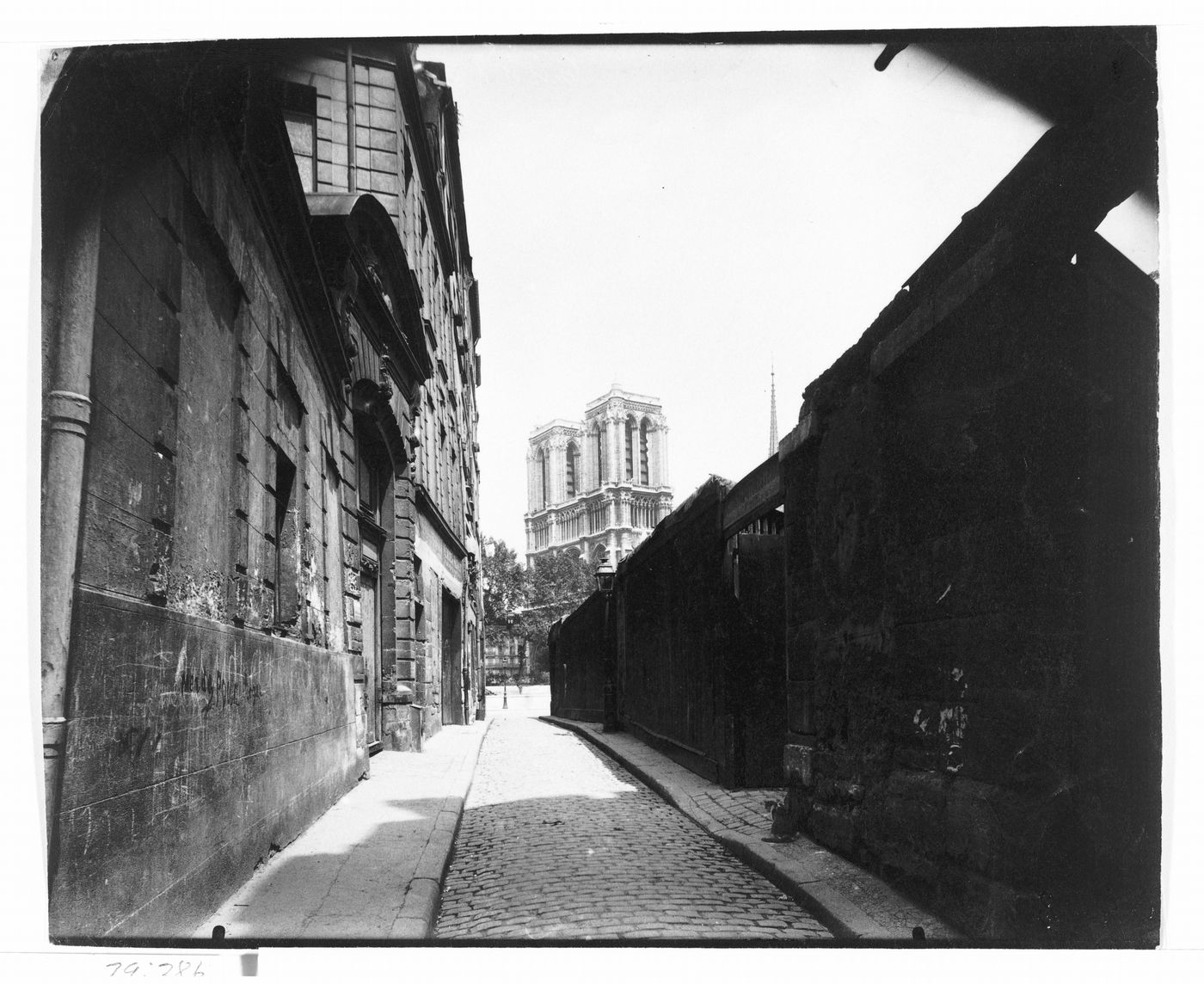 View of rue Saint Julien le Pauvre with Notre-Dame visible at the horizon, and cat in the foreground, Paris, France