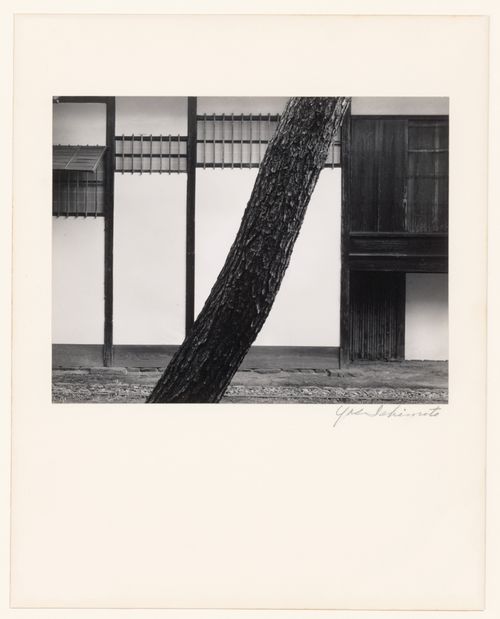 Partial view of the southwest side of the New Palace (also known as the New Goten) showing the trunk of a tree in the foreground, Katsura Rikyu (also known as Katsura Imperial Villa), Kyoto, Japan