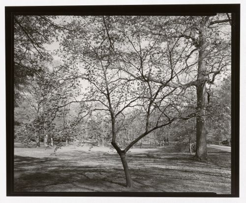 View of Druid Hills, Atlanta, Georgia, United States