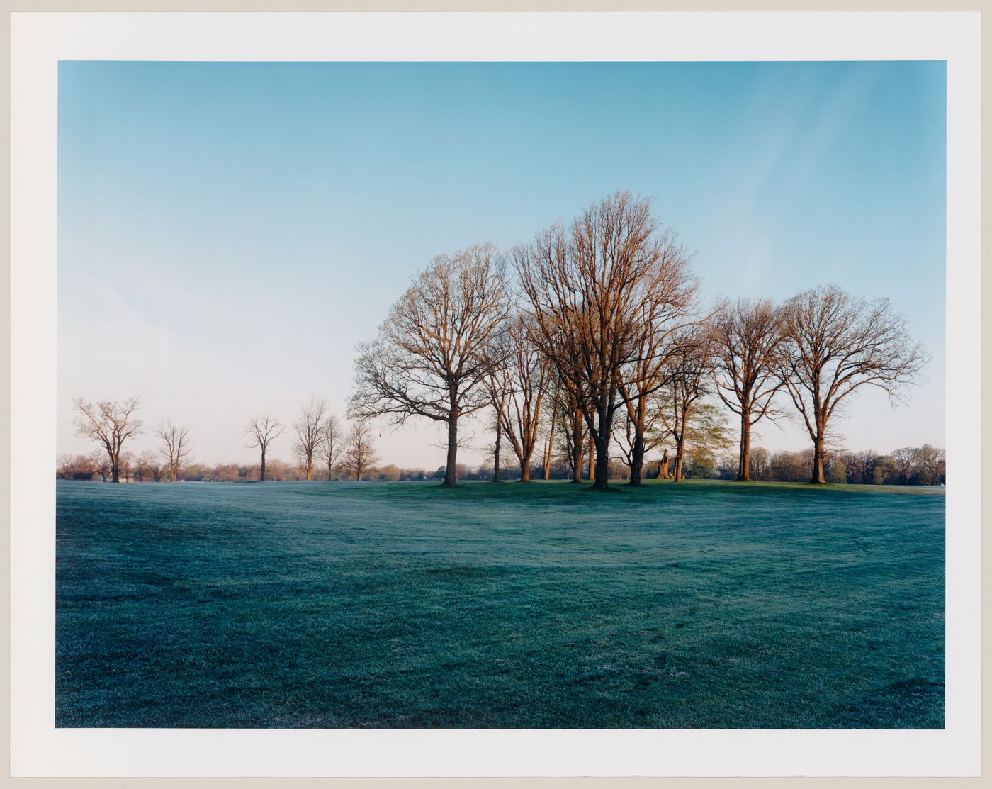 Viewing Olmsted: View of Country meadow, Delaware Park, Buffalo, New York