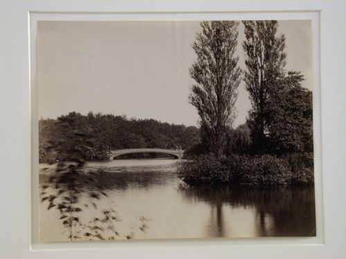 View of bridge in Central Park, New York City, New York