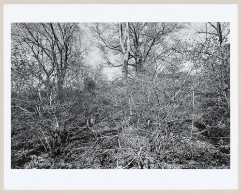 Franklin Park, Boston, Massachusetts