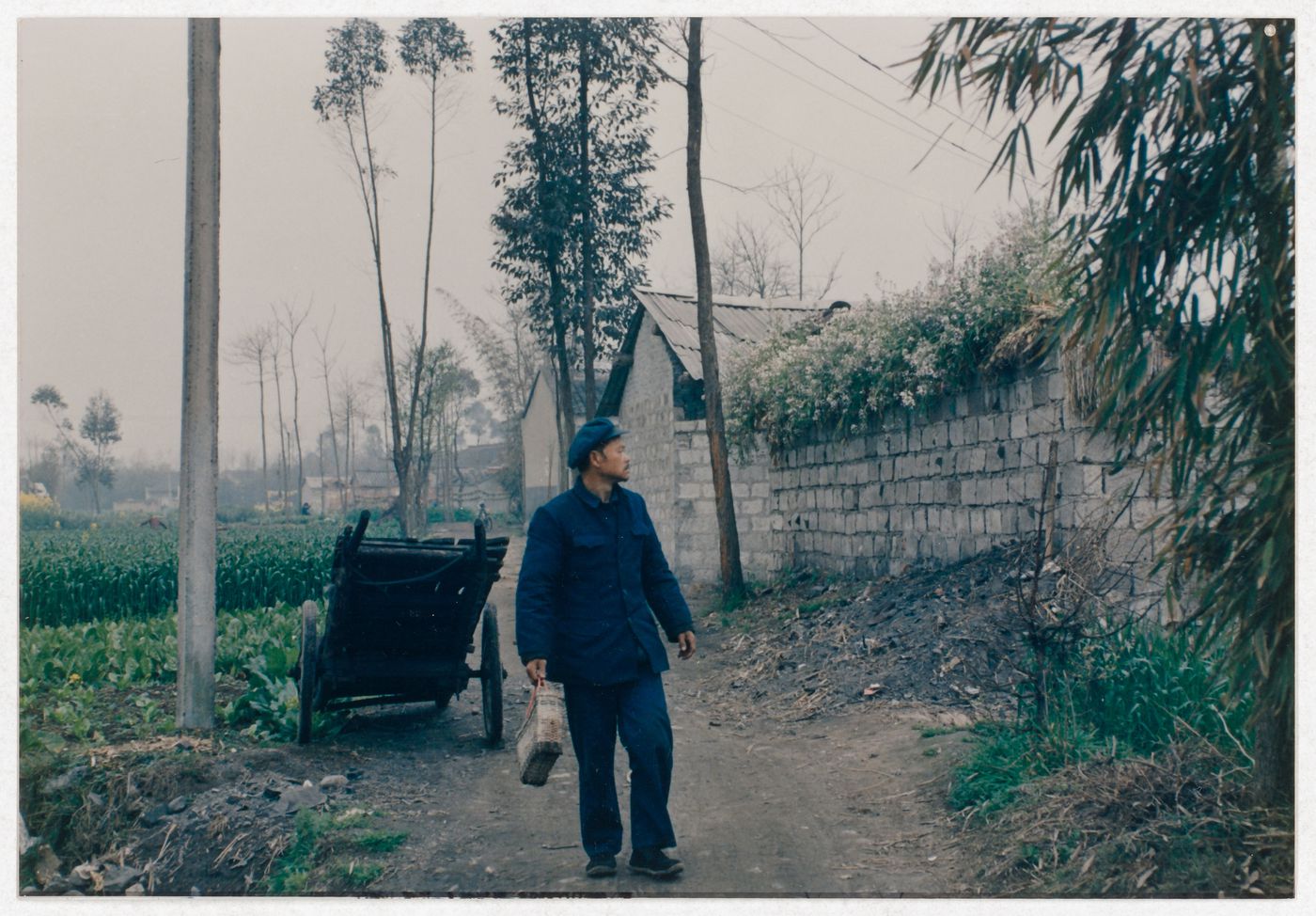 View of street with cultivated fields, houses, and a resident, in rural Sichuan province, China