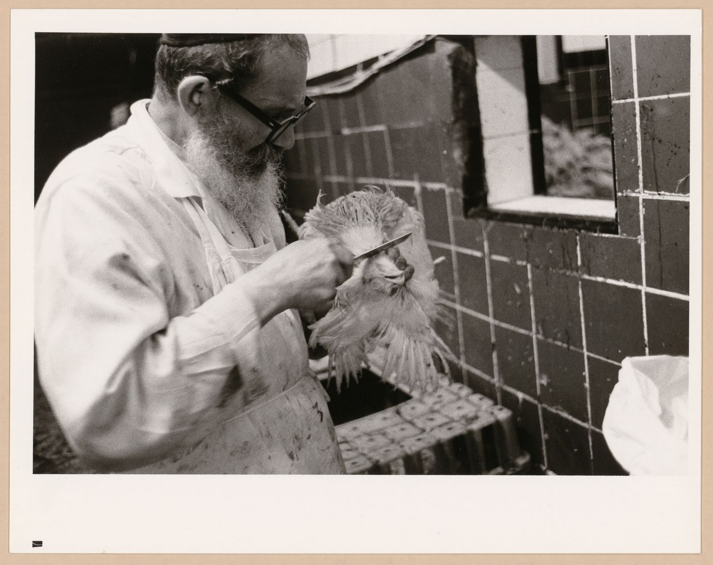 Montréal, Boulevard Saint-Laurent
