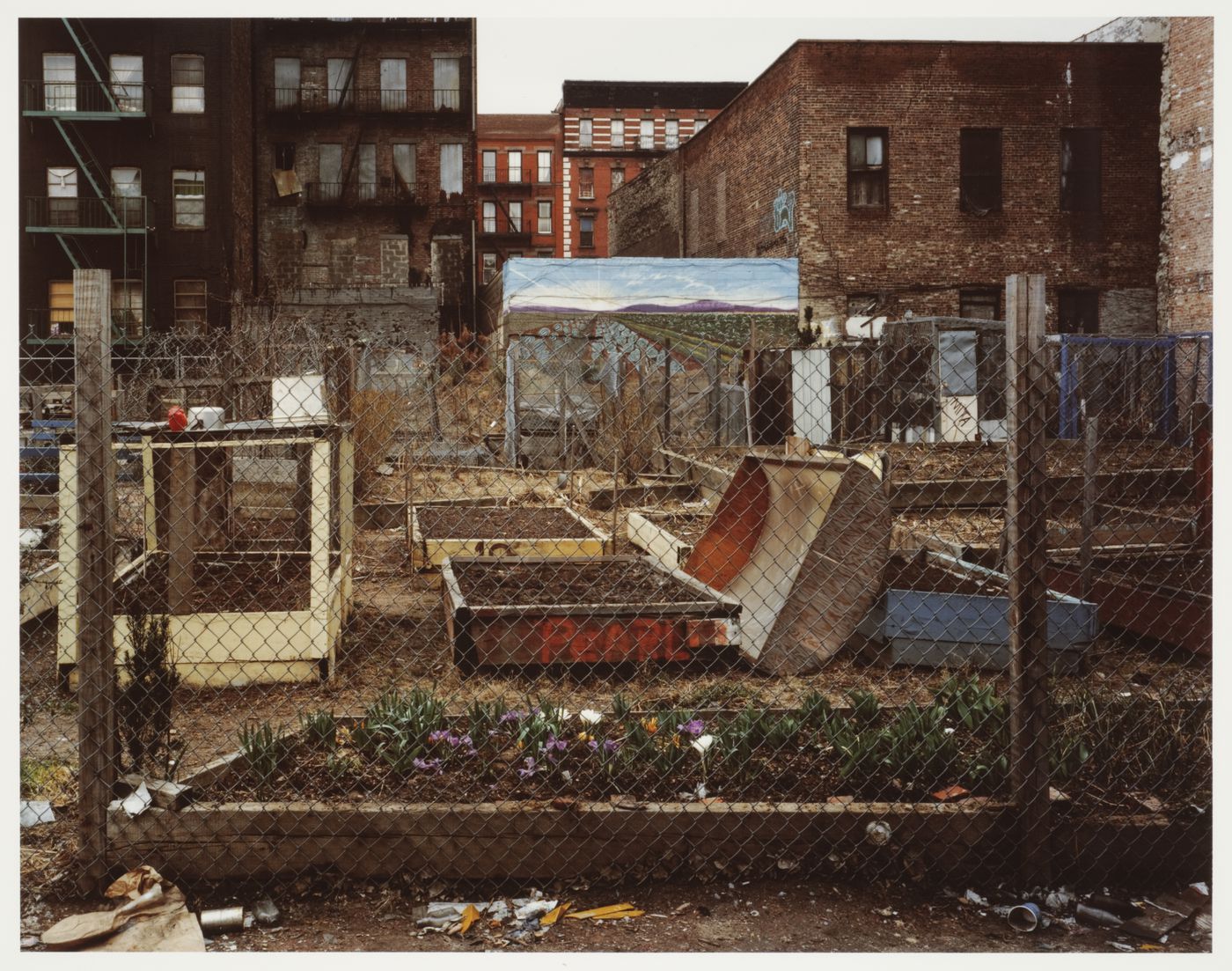 East 12th Street: Community garden, New York City, New York